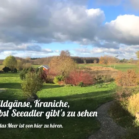 In Mit Terrasse By Interhome Neuenkirchen (Landhagen)