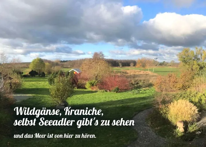 In Mit Terrasse By Interhome Neuenkirchen