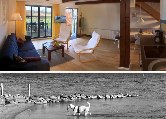 In Mit Terrasse By Interhome Neuenkirchen